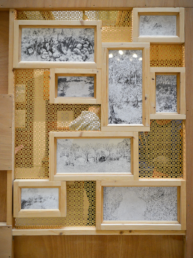 Comment les feuilles s'épanouissent-t' elles ?